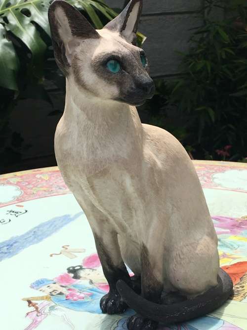 COUNTRY ARTISTS COLLECTABLE CAT FIGURINE -.SIGNED and DATED 2003 -  SIAMESE CAT GLASS EYES