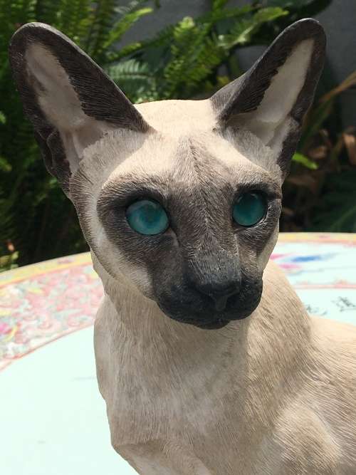 COUNTRY ARTISTS COLLECTABLE CAT FIGURINE -.SIGNED and DATED 2003 -  SIAMESE CAT GLASS EYES