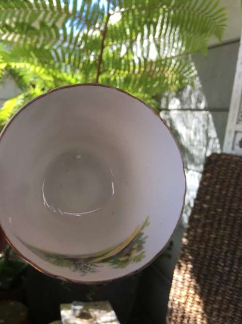 VINTAGE SHELLEY FINE BONE CHINA ENGLAND `WOODLAND 13348 TEA TRIO