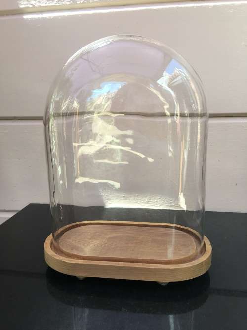 Large Rare Antique hand blown glass dome on a wooden base
