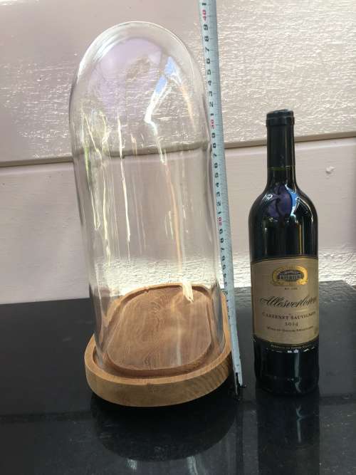 Large Rare Antique hand blown glass dome on a wooden base