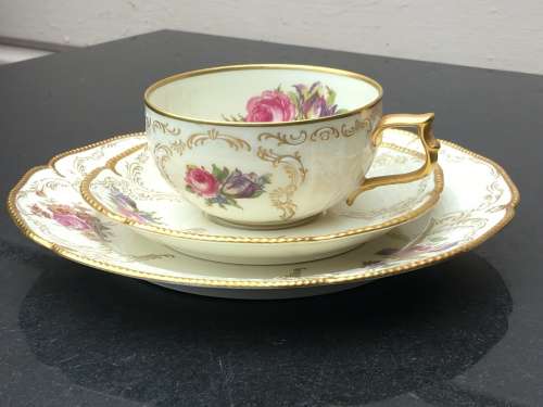 Rosenthal Selb-Germany Sanssouci Cup,Saucer and 20cm Plate.