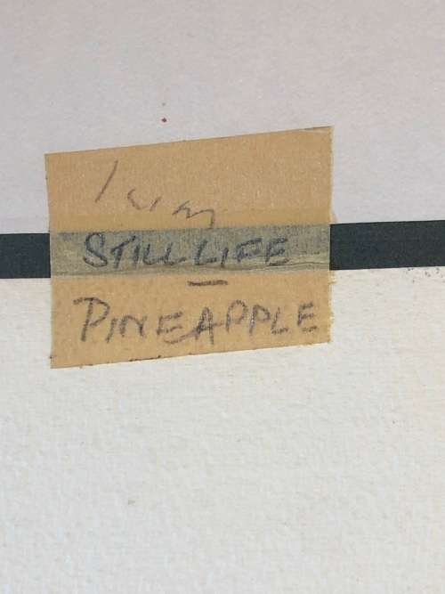 GERALDINE GULSTON (SA 20th CENTURY) LARGE UNFRAMED WATERCOLOUR PAINTING `PINEAPPLE` 1979