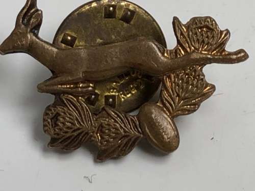 RARE PAIR OF SOUTH AFRICAN SPRINGBOK RUGBY COLLAR PINS