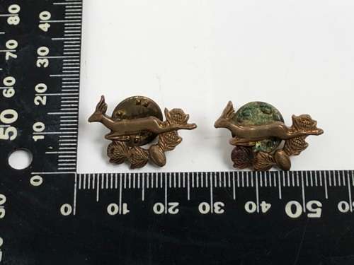 RARE PAIR OF SOUTH AFRICAN SPRINGBOK RUGBY COLLAR PINS