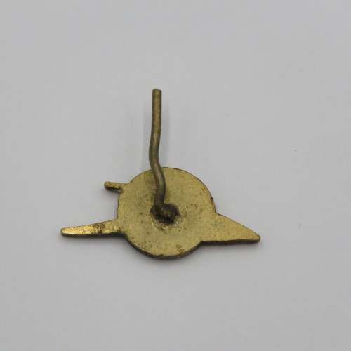Vintage SA Railway emblem pin badge