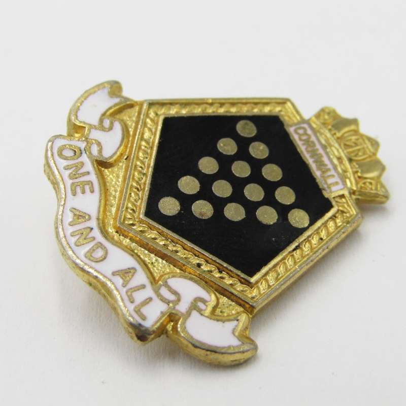 HMS Cornwall One and all ships pin badge