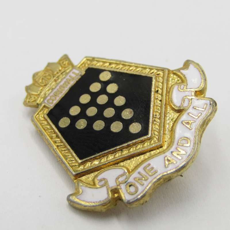 HMS Cornwall One and all ships pin badge