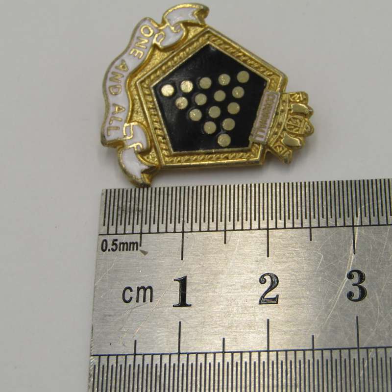 HMS Cornwall One and all ships pin badge