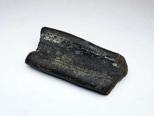 Black bone fossil