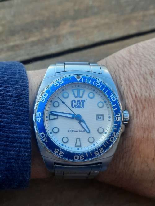 men's cat diving watch