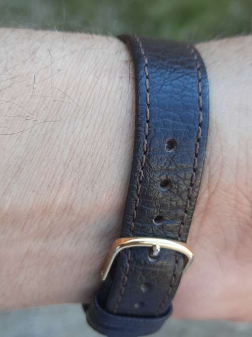 vintage men's rotary automatic