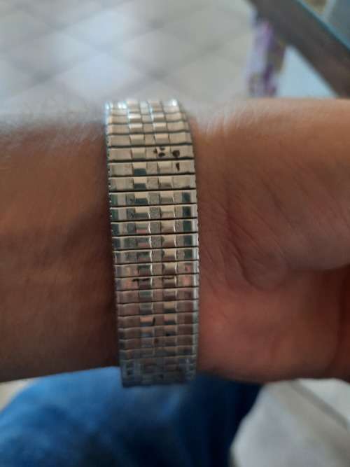 Vintage men`s cresta watch