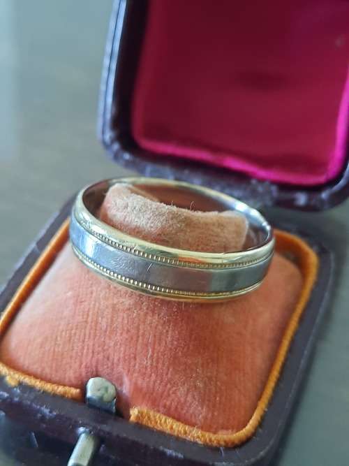 Men`s 14ct gold and titanium ring