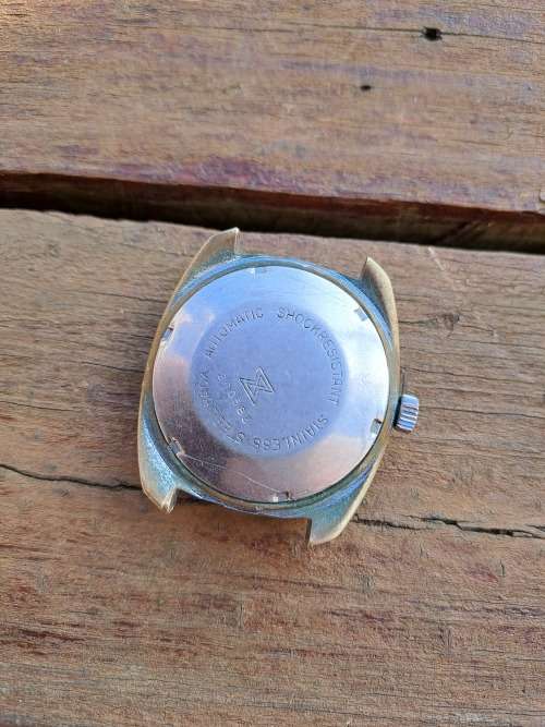 Vintage Delfin edox automatic