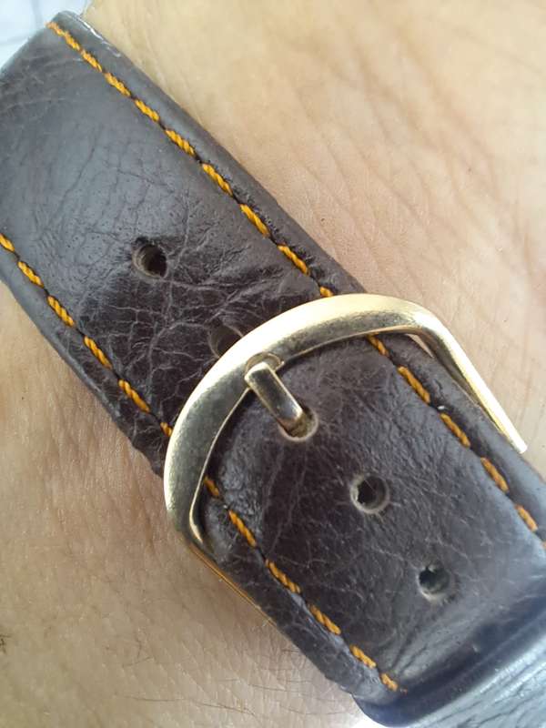Vintage men`s zodiac