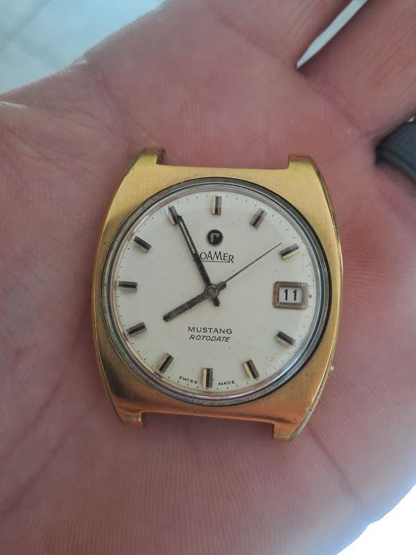 Vintage men`s Roamer mustang