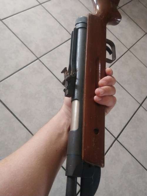 vintage pellet gun