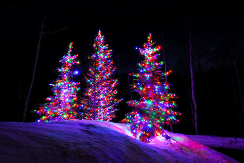 Brand new 100 LED multi-function fairy lights