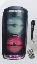 Ecco 8 Inch Portable Party Speaker