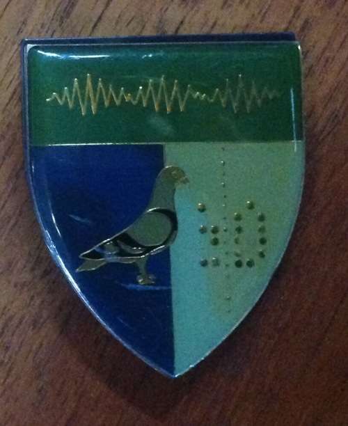 SANDF Shoulder badge