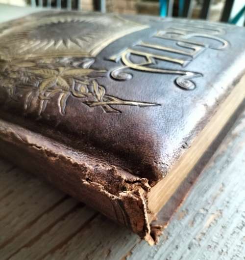 Victorian / Antique photo album (28 Cabinet Cards)