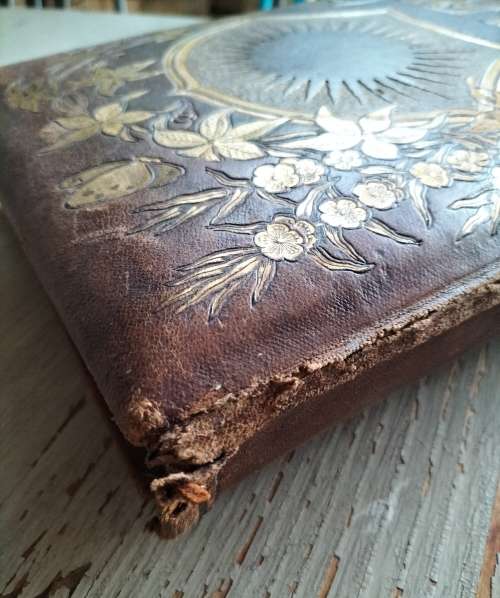 Victorian / Antique photo album (28 Cabinet Cards)