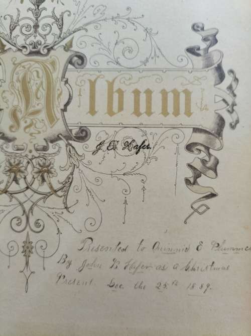 Victorian / Antique photo album (28 Cabinet Cards)