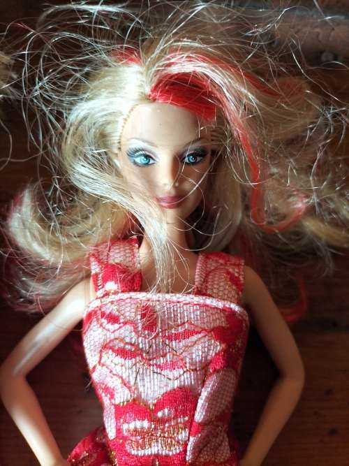 Barbie dolls (x2)