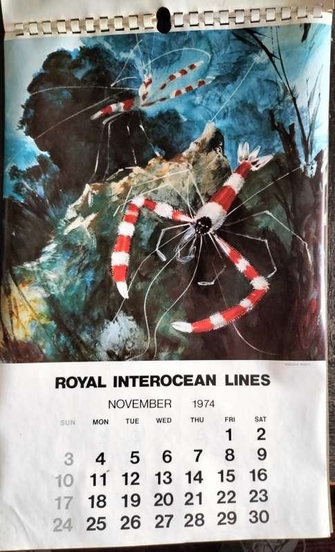 1974 Calendar - Royal Interocean Lines - sketches of creatures of the sea