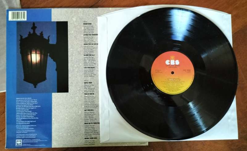 LP / Vinyl - Dan Siegel - Late on night
