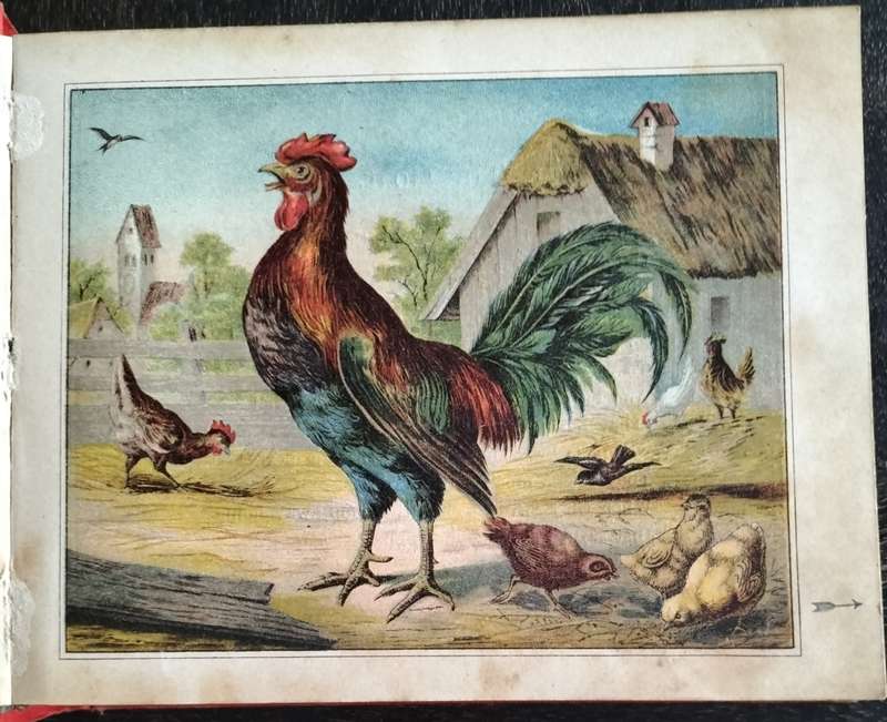 Exceptionally Scarce - The Speaking Toybook (circa 1900)