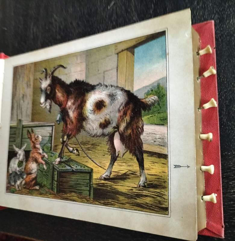 Exceptionally Scarce - The Speaking Toybook (circa 1900)