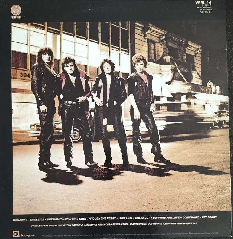 Vintage Vinyl / LP - Bon Jovi