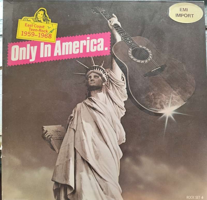 Only in America - East Coast Teen Rock 1959 - 1968 (Vintage Vinyl / LP)