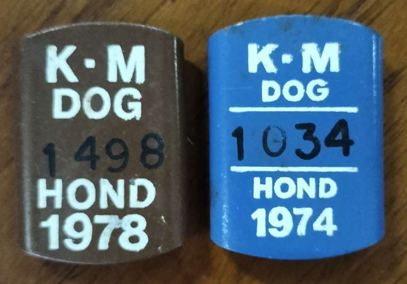 Vintage dog licenses - KM (Kaapstad Munisipaliteit?)