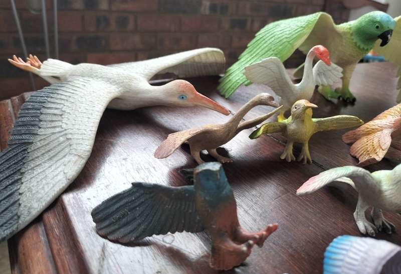 Vintage collection of plastic birds (x20))