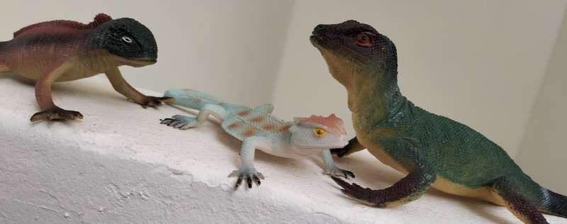 Vintage collection of plastic lizards (x16)