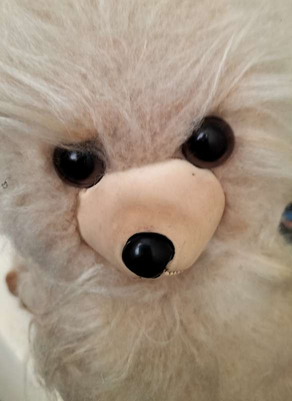 Antique toy dog (missing left ear)