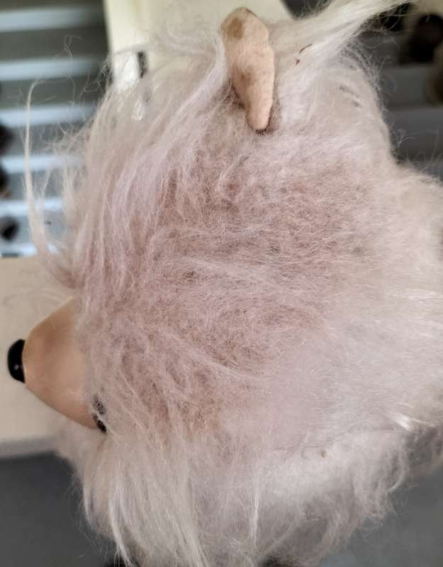 Antique toy dog (missing left ear)