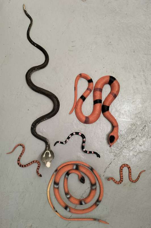 Collection of plastic toy snakes (x 6)