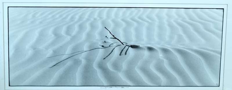 Mortimer - Abstract photograph - No 15 of 25