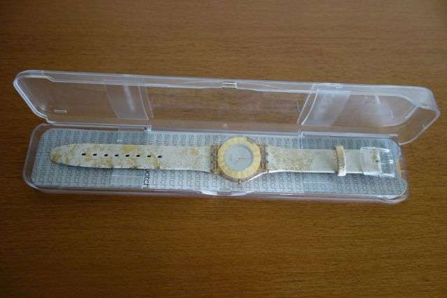 Swatch Skin Watch