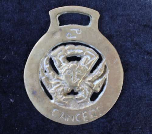 Vintage Horse Bronze -Cancer
