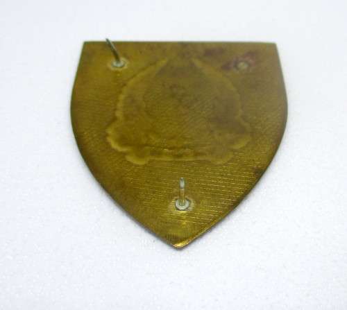 SADF Military Gymnasium arm flash