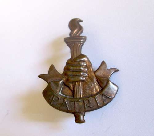 Patria 5cm Long Badge with Lugs