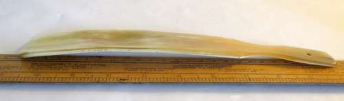 Vintage Large Bone Carved Shoe Horn