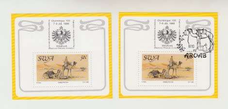 Otjimbingue 100 7-9 Jul 1988 SWA WIndhoek Stamp Mint. One Stamped Aroab