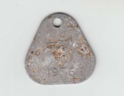 Riebeeck Kasteel 1976 Dog tag licence