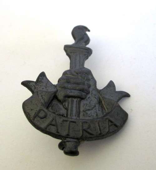 SA Army Patria Badge